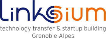 Satt Linksium logo