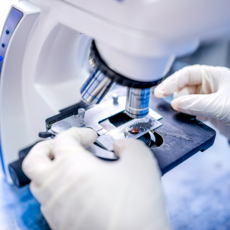 close-up of scientist hands with microscope, examining samples a
