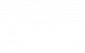 logo-DD-transparent-blanc