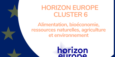 Miniature web – Horizon Europe Cluster 6
