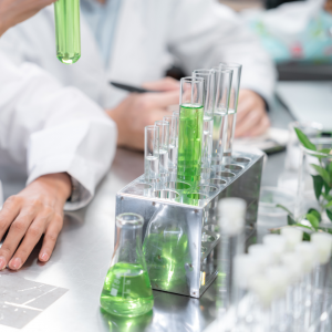 SurfactGreen et ses partenaires ont bénéficié de l'expertise de D&Consultants pour le montage de leurs dossiers de candidature pour les projets T2BIO (36 mois, 2,9M€ de budget) et BEINNOV (48 mois, 4M€ de budget), respectivement opérés par Bpifrance et l'ADEME dans le domaine des matériaux et chimie biosourcés, biocarburants avancés. En plus de leur assistance pour la candidature, D&Consultants a fourni un soutien technique, administratif et financier à SurfactGreen pour la réalisation de ces deux projets.